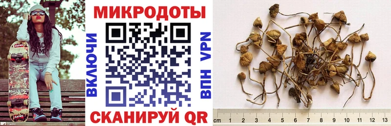 Купить  Ипатово  Галлюциногенные грибы мицелий 